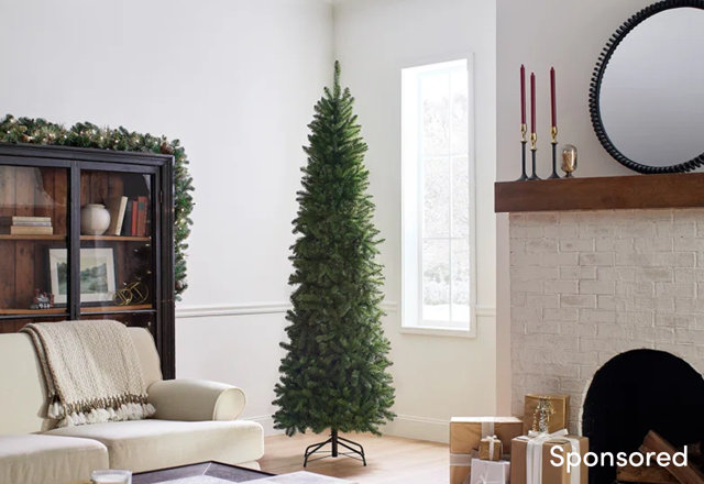 Our Favorite Christmas Trees